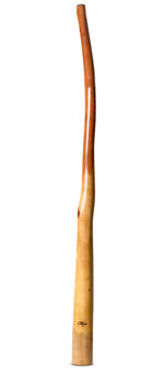 Tristan O'Meara Didgeridoo (TM357)